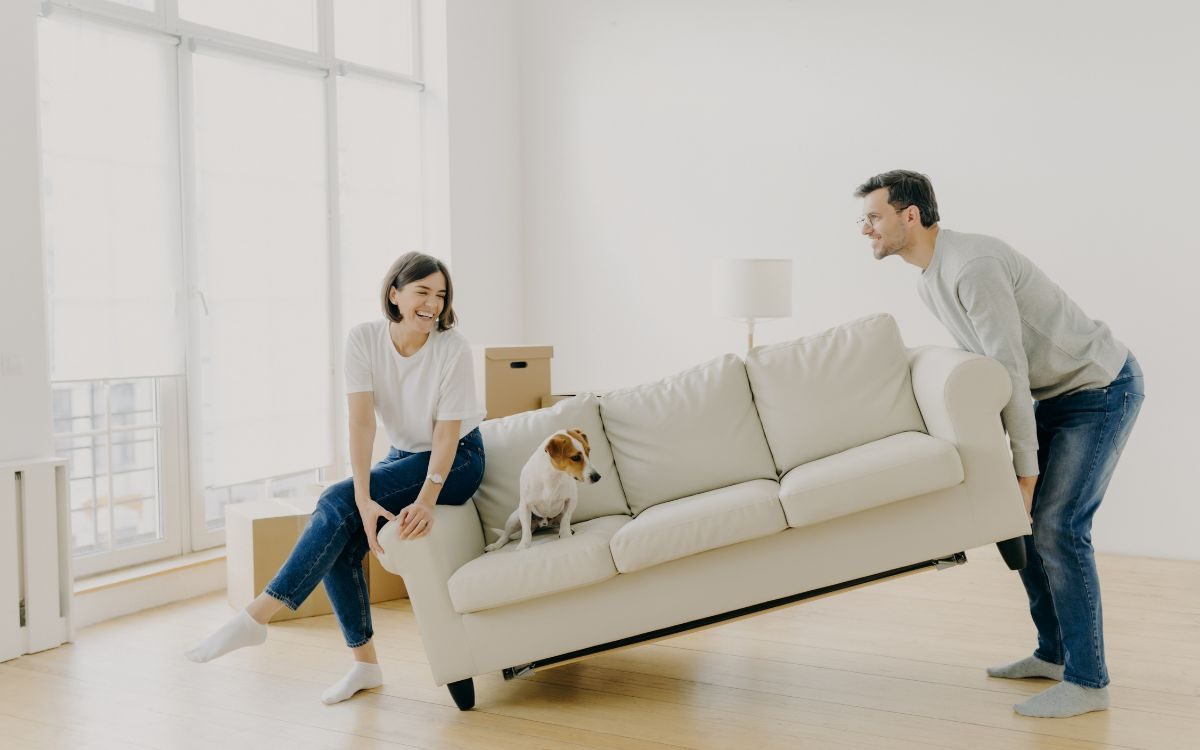 What You Need to Know About Moving with a Dog